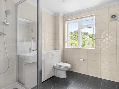 Picture 15